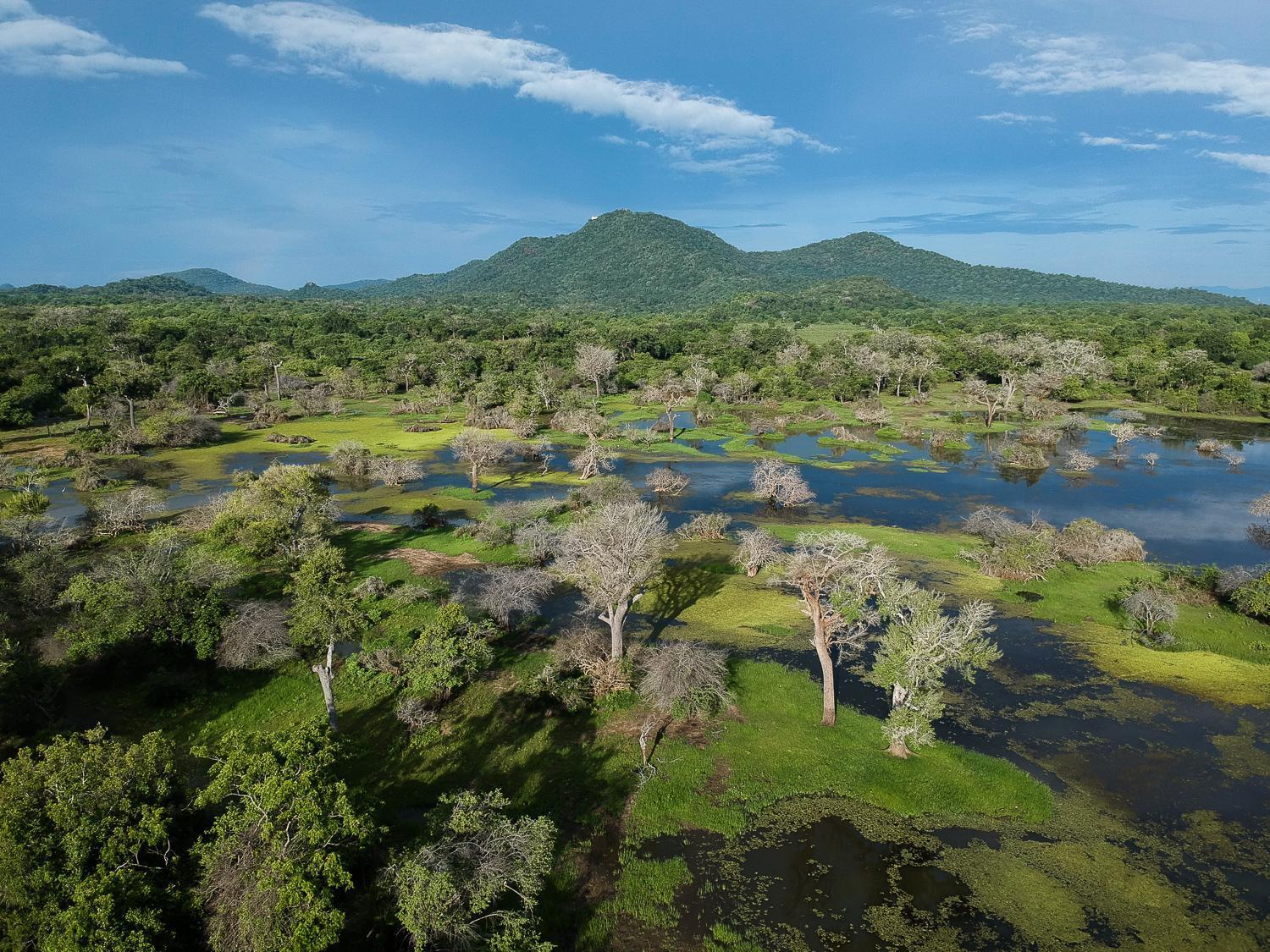 Отель Kulu Safaris Яла Экстерьер фото